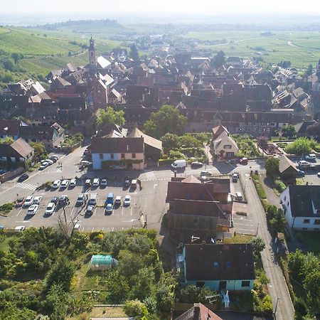 Gewurztraminer - Studio Au Pied Du Vignoble - Renove Recemment - Parking Gratuit Рикевир Экстерьер фото