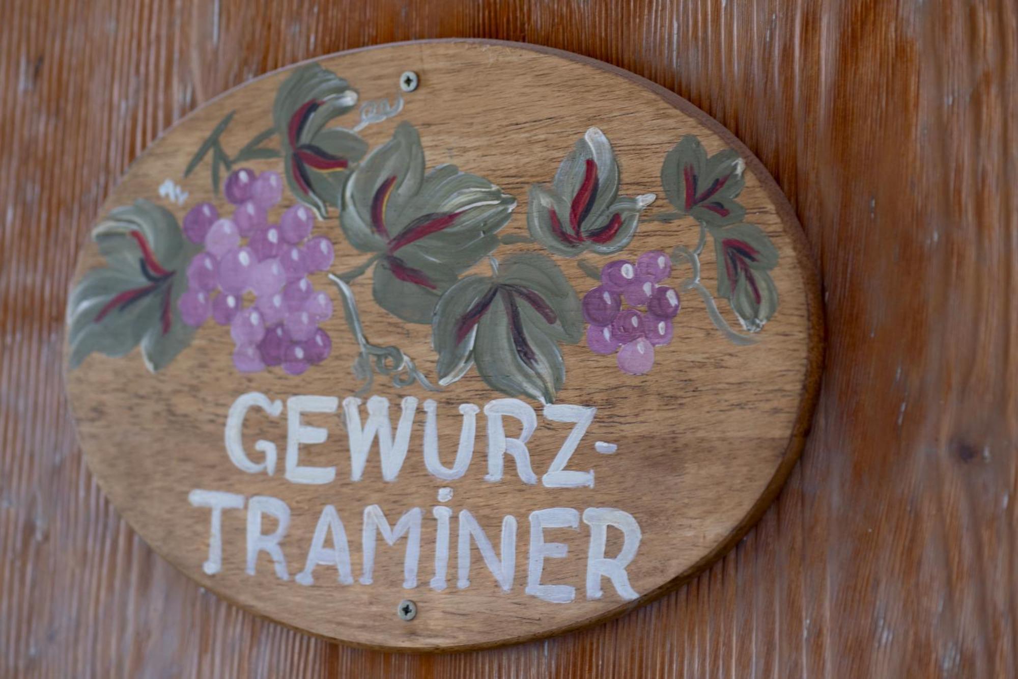 Gewurztraminer - Studio Au Pied Du Vignoble - Renove Recemment - Parking Gratuit Рикевир Экстерьер фото
