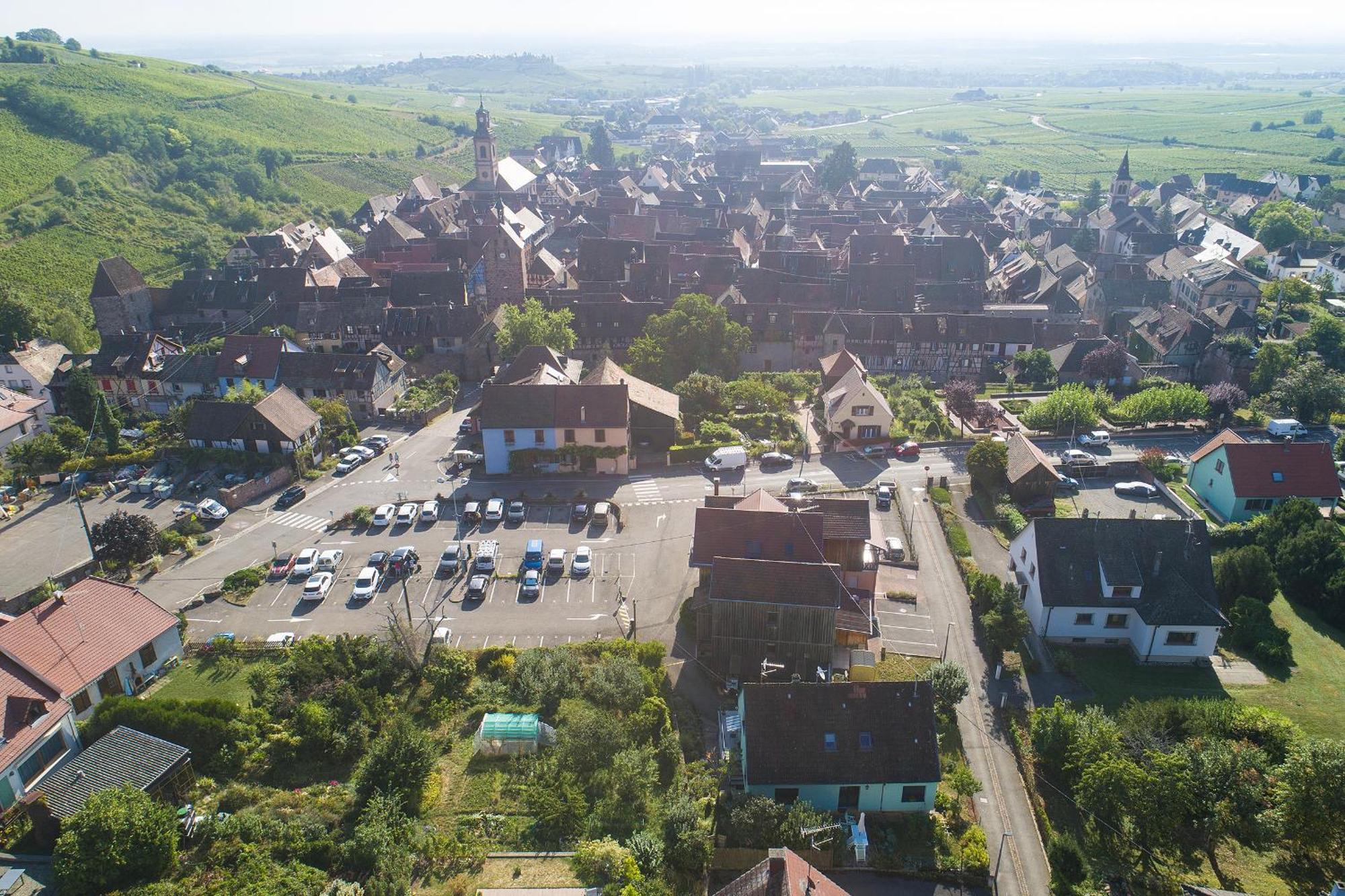 Gewurztraminer - Studio Au Pied Du Vignoble - Renove Recemment - Parking Gratuit Рикевир Экстерьер фото